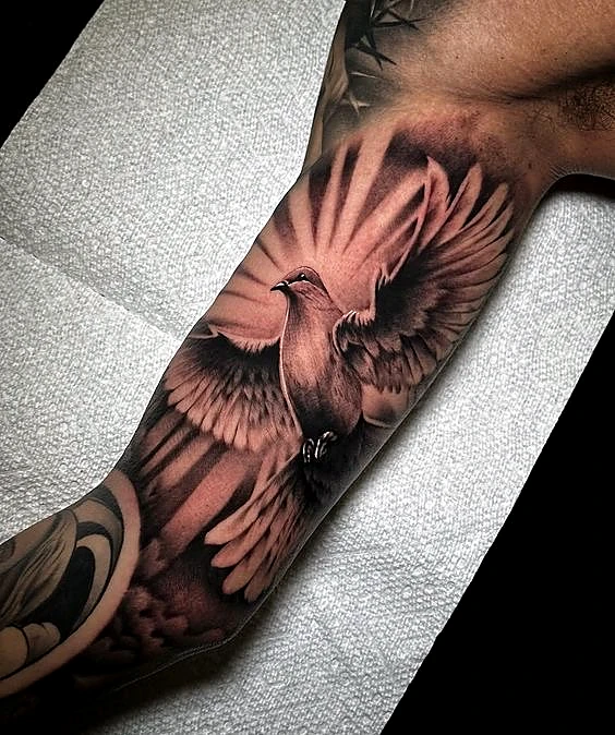Black and grey realism dove on the forearm by Rav Singh at Inkology